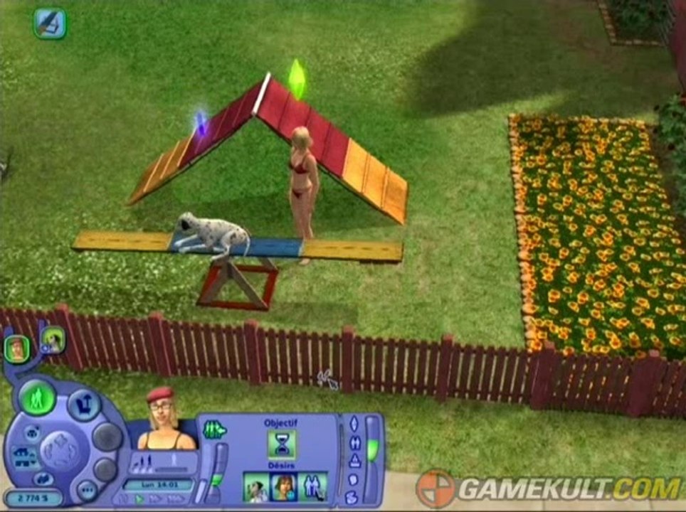 Les Sims : Histoires d'animaux - Dressage d'amateur
