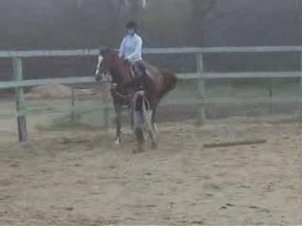 Page du craford essai