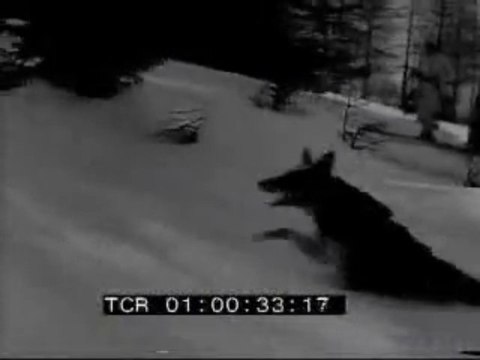 Occupazione di Mentone - Documentari - Scheda video - Cinecittà Luce - Senato della Repubblica