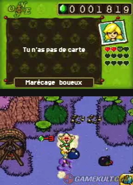 Freshly-Picked : Tingle's Rosy Rupeeland - L'attaque des canards maléfiques