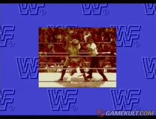 WWF Rage in the Cage - Un bout de l'introduction