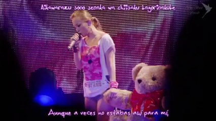 Teddy Bear ~15th AT ABL~