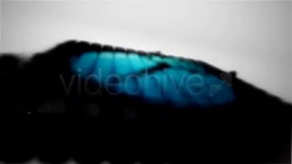 Soft 3D xtrusion Logo Close up - After Effects Template