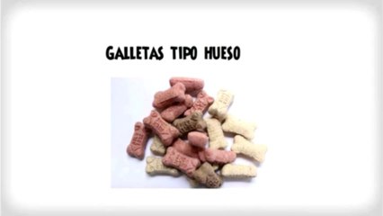 Mira Los Premios Para Perros