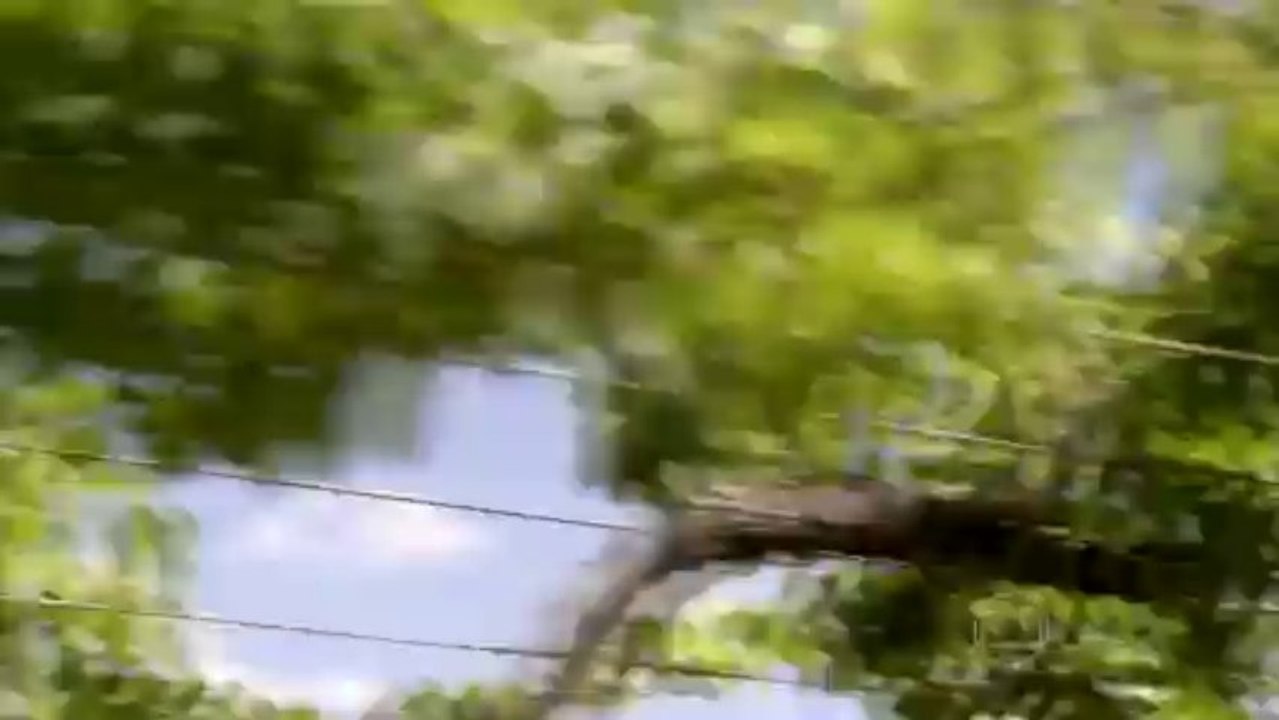 Amores Roubados - Episódio 5 - Parte 2 [720p]