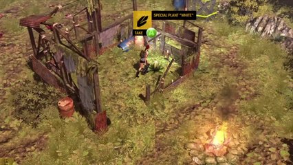 How to Survive - Kovac's Rules