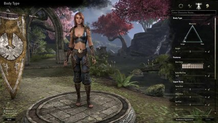 The Elder Scrolls Online - La Création de Personnages