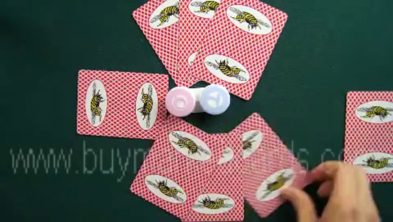 Bee card with bee--Cheat poker