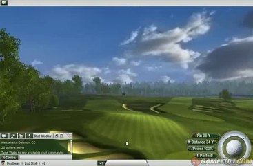 Tiger Woods PGA Tour Online - Tu veux voir mon birdie ?