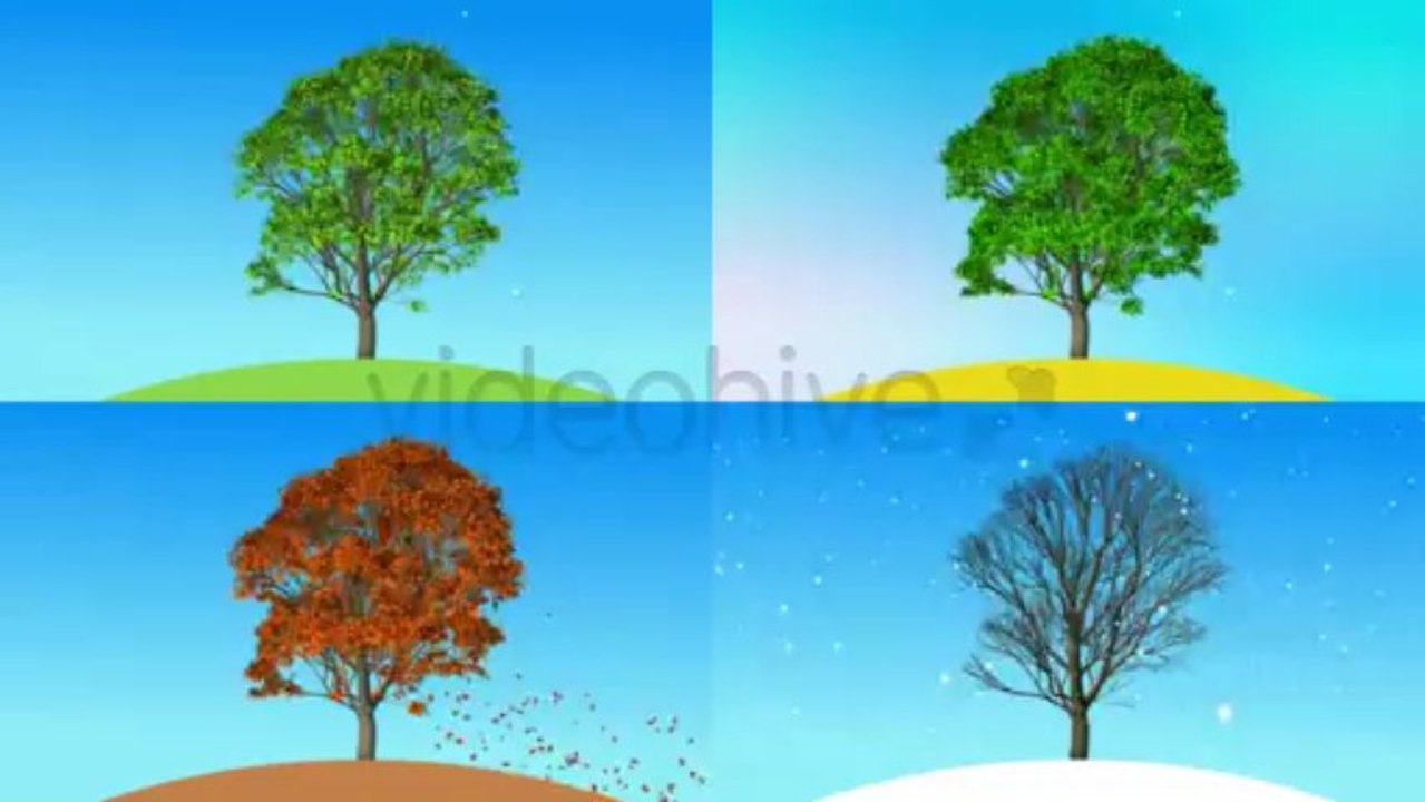 Four Seasons Promotion Presentation Footage - After Effects Template