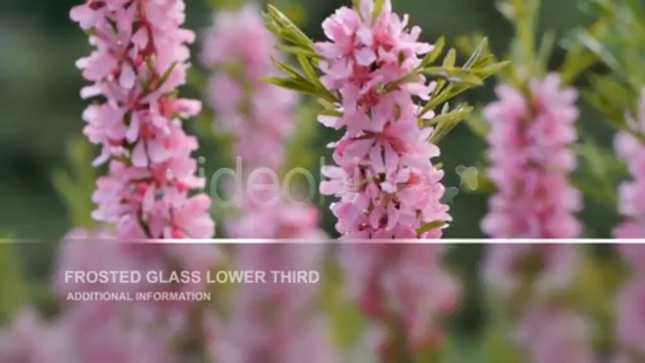 Frosted Glass Lower Third Pack - After Effects Template