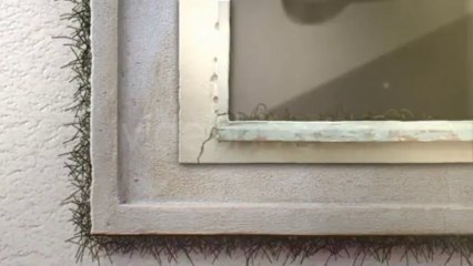 Peaceful Logo Presented Inside A Wall - After Effects Template