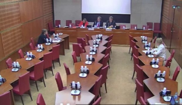 Audition de Mme Marie-Odile Krebs, responsable du programme (SAMENTA) - Jeudi 6 Juin 2013