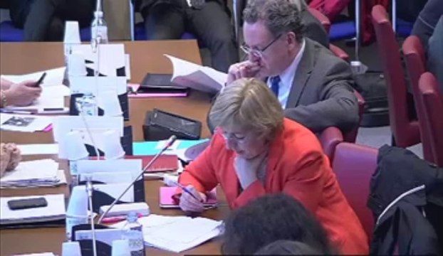 Examen du rapport d'étape de la mission d'information sur la santé mentale et l'avenir de la psychiatrie - Mercredi 29 Mai 2013