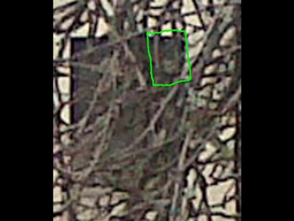 Les visages fantômatiques par Entities hunters