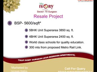 Tulip ivory Gurgaon Resale Project