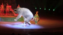 I couldn't believe elephants could do this.  - Chimelong International Circus, Guangzhou, China