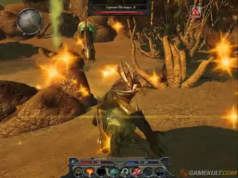 Divinity II : Ego Draconis - Combat contre les Elfes-Dragons