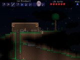 Terraria 