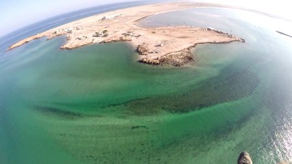 Vol à Ras Al Hadd - Sultanat d'Oman