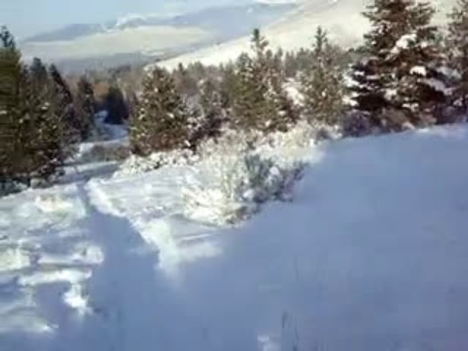 Sledding the hill behind my cabin up Pattee Canyon in Missoula, MT