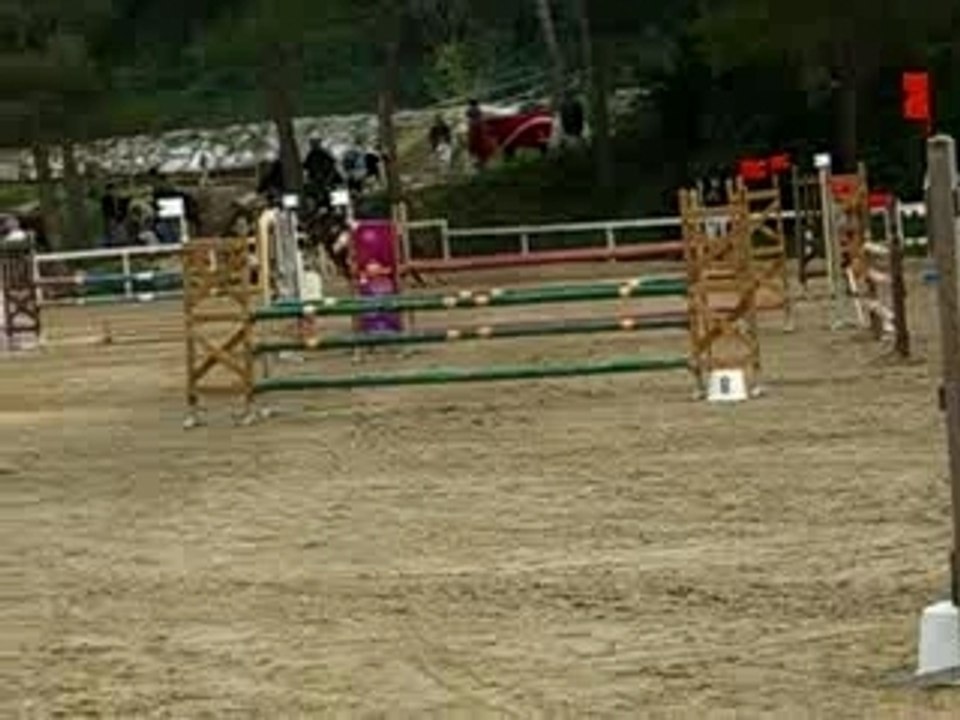 D1P - Dixone d'Entrammes