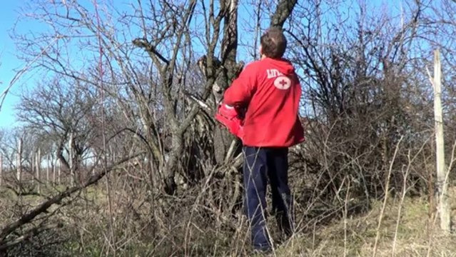 Дърва за дома