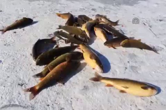 Ekmeğini buz tutan gölden çıkaranlar