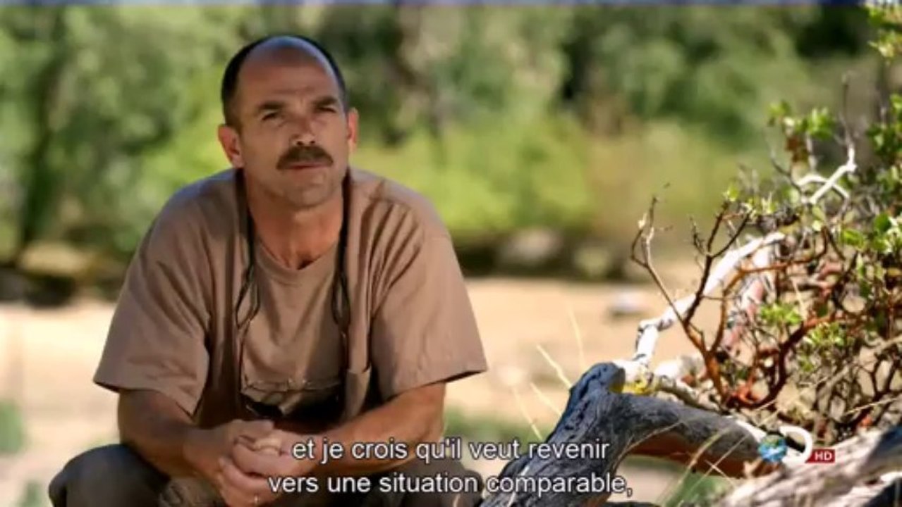 Weed Country Episode 3