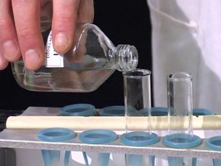 058. Взаимодействие многоатомных спортов с гидроксидом меди