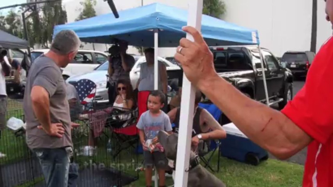 2013 Hightlight at Falco K9 Academy