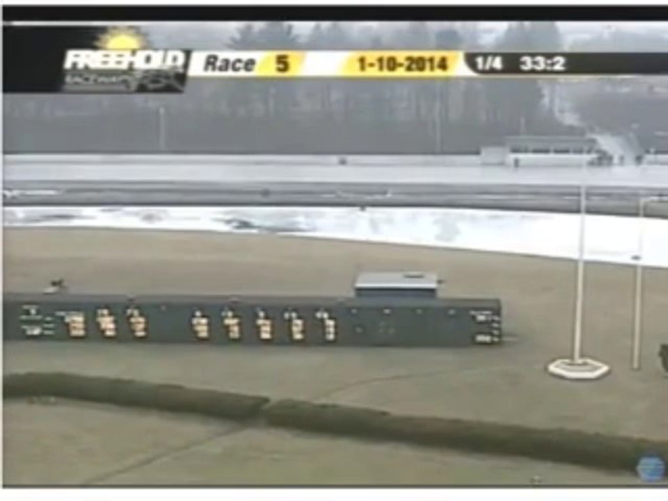 Car Proves Horses Are Much More Reliable