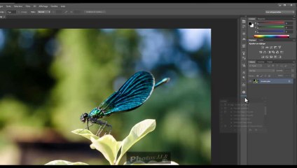 Photoshop - Scripts pour le web.