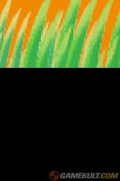 Pokémon Version Argent SoulSilver - Premières captures