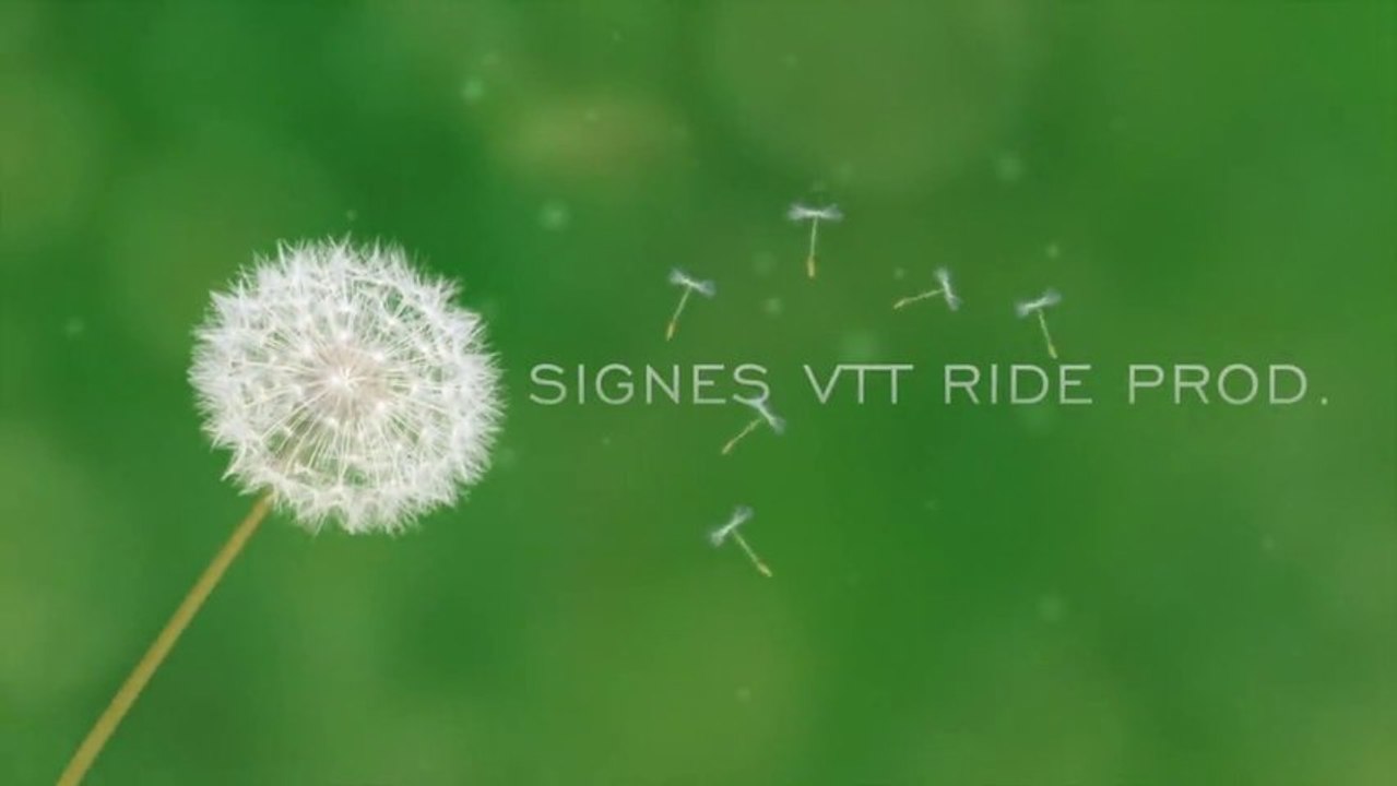 Signes VTT Ride - First Ride 2014