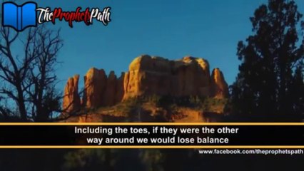 The Human Organs, short clip by Mufti Menk