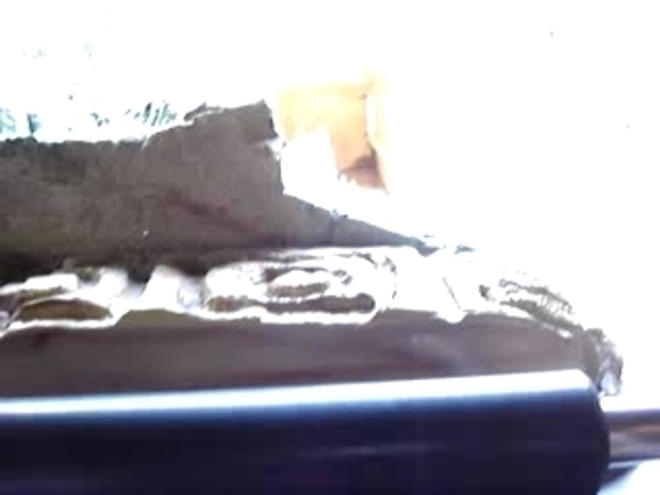 pal