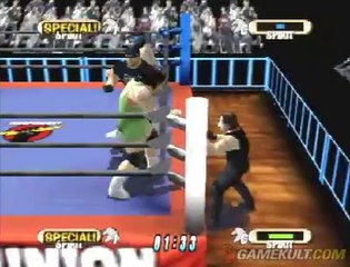 WCW VS NWO : World Tour - Baston générale