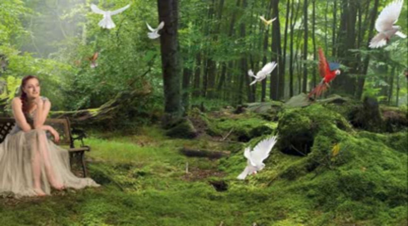 candan erçetin- herkes gibisin