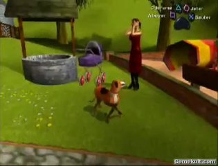 Dog's Life - Motocrotte ?