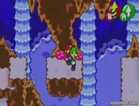 Mario et Luigi : Superstar Saga - A deux c'est mieux