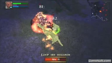 Dungeon Siege : Throne of Agony - Danse avec les loups