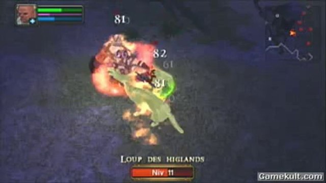 Dungeon Siege : Throne of Agony - Danse avec les loups