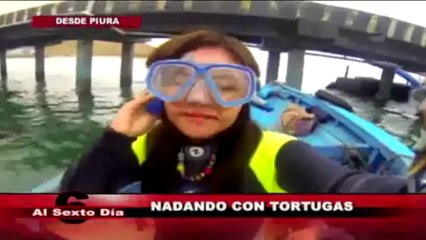 Nadando con tortugas: una inolvidable experiencia en la playa El Ñuro
