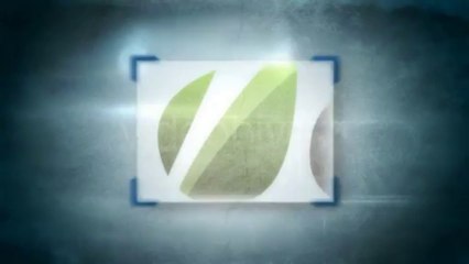 Focus Box Ident - After Effects Template