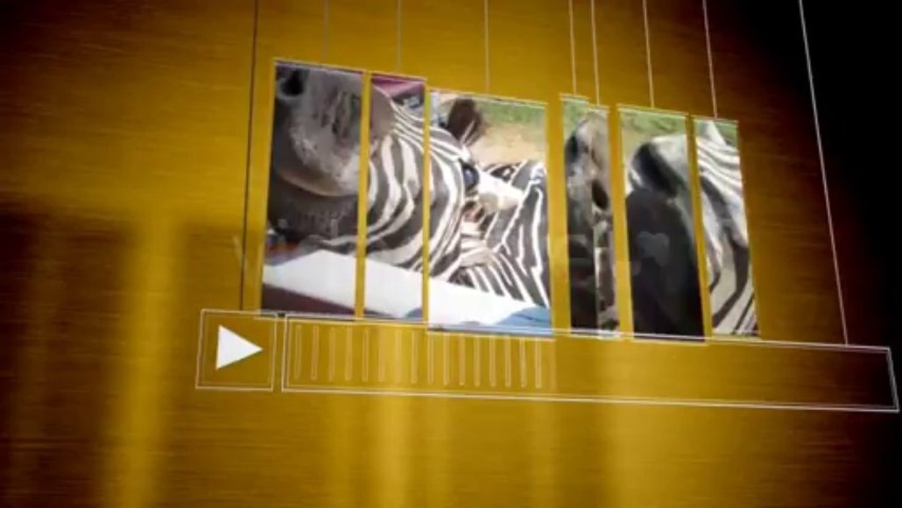 Photos trip - After Effects Template