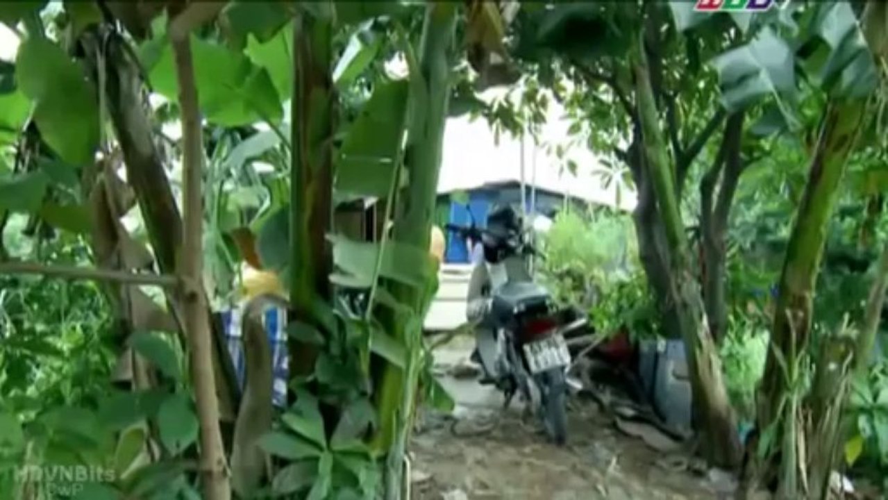 [HDVNBits] Vật chứng mong manh - Tập 08
