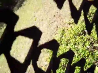 Grigor Lliev...Remains From the Past