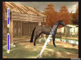 Alexandra Ledermann 6 : L'école des Champions - Entretien du cheval