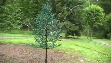 Saint-Pétersbourg2009.n16